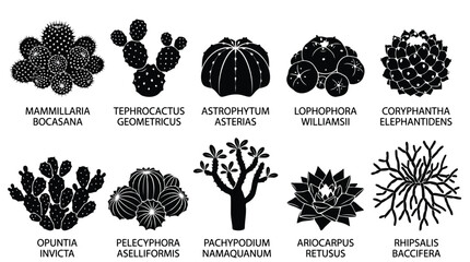 Black coral reef icons set © SanjidaSultana