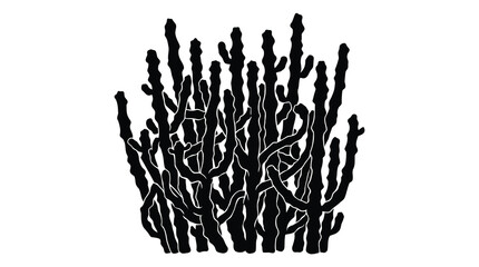 Black coral reef illustration © SanjidaSultana