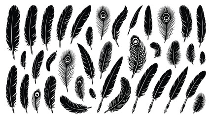 Black feather set on white © SanjidaSultana