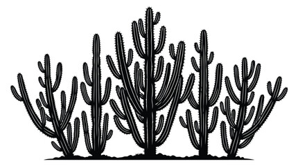 Black silhouette of coral reef © SanjidaSultana