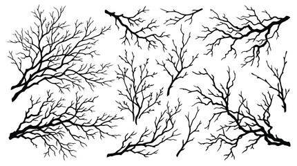 Black tree branches and birds silhouette © MohammadMasud