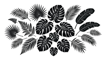 Black tropical leaves isolated on white © MohammadMasud