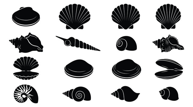 Collection of black seashell icons