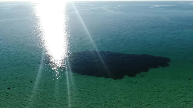 Aerial view showing the shadow of a giant fish or a sea monster beneath the ocean surface casting a dark silhouette in clear tropical turquoise water with sun glint light