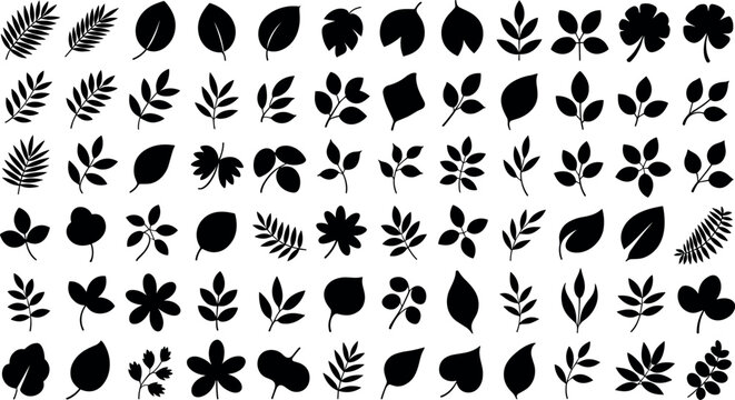 Leaf silhouette vector mega set with black isolated botanical branch and foliage shapes on a white background