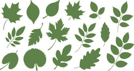 Naklejka premium Green leaf silhouettes collection vector set with various forest tree leaves isolated on a white background for design