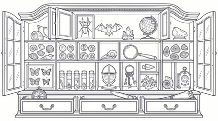 Natural History Cabinet: Collection of Curiosities, Insects, Fossils, Shells © Iwak