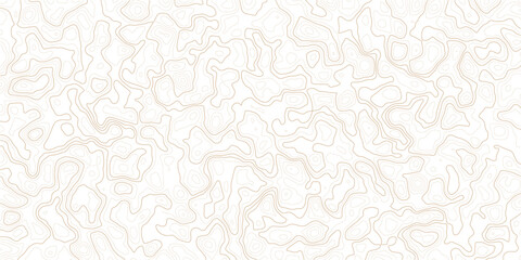 Topographic map contour lines isolated on white background © MD.HUZZATULLAHISLAM