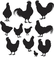 Chicken and rooster silhouettes vector collection, domestic farm poultry birds isolated on a white background © Arishfa