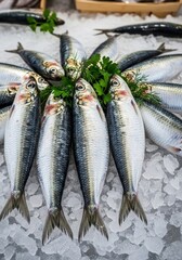 Obraz premium A display of fresh sardines rests on a bed of ice. Several silvery fish are arranged with sprigs of dill, showcasing their glistening scales and detailed features.