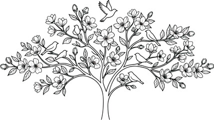 Fototapeta premium Blooming cherry blossom tree vector illustration, spring floral tree with birds and flowers, black and white line art botanical design for coloring