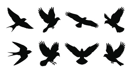 Obraz premium Black bird silhouettes set, flying birds in flight vector collection, 8 soaring bird shapes, isolated wild bird icons for nature design