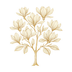 Fototapeta premium PNG Elegant floral illustration on black