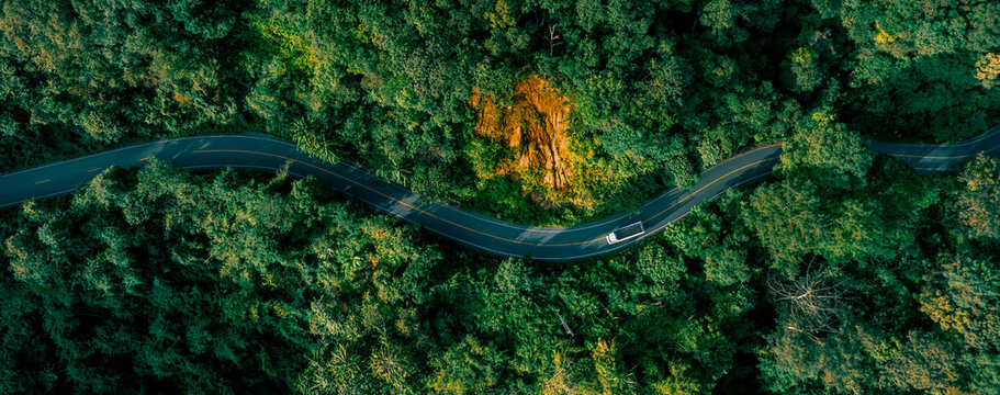 Aerial forest landscape with curved transportation route illustrating sustainable infrastructure, environmental responsibility, biodiversity conservation, and green economic development.