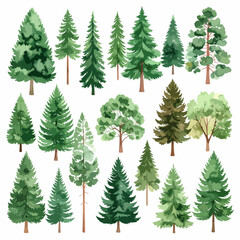 Obraz premium Collection of various coniferous and deciduous trees in watercolor style.
