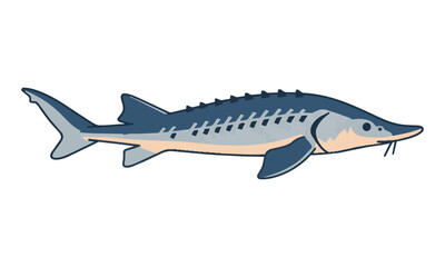 Fototapeta premium Minimalist line drawing of a sleek sturgeon fish with clean contours and simplified features on a white background. Wildlife and fishing concept