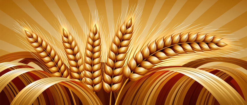 Golden wheat sheaf illustration with sunburst rays and flowing grain on warm background, agricultural harvest scene