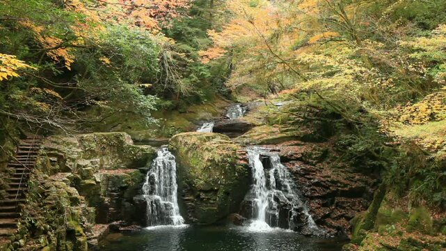 紅葉の赤目四十八滝の荷担滝