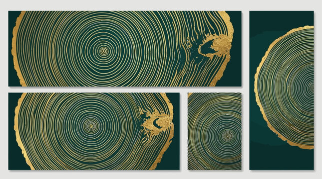 Luxury Gold Wood Annual Growth Rings Texture Template Set. Elegant Golden Tree Trunk Cross Section Stamp Banner. Abstract Metallic Wooden Concentric Circle Pattern Background.