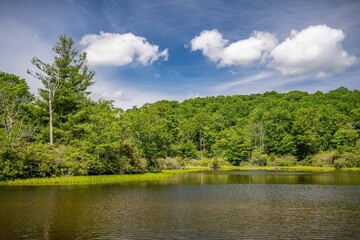 Obraz premium price lake, NC
