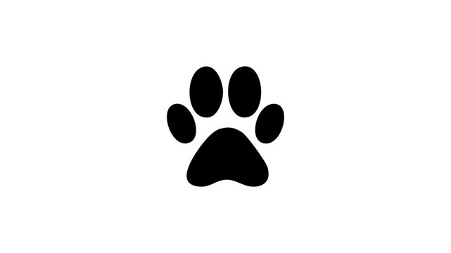 Cat Footprint Animation. Animated Black Cat Paw Print, Looping Footprint Icon on White Background.