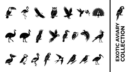 Obraz premium Exotic bird silhouette icon set featuring tropical species like toucan parrot flamingo eagle and owl vector graphics on white background