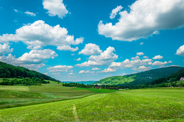 Green countryside meadow with rolling hills and blue sky © Lumen&Lines
