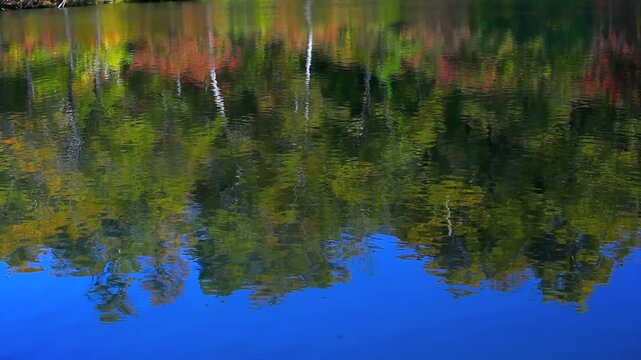鎌池の紅葉とさざ波