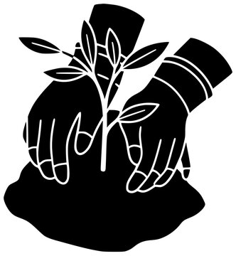 nature illustration sapling silhouette environment logo growth icon green outline plant ecology garden agriculture gardening seedling forest conservation leaf shape for vector graphic background