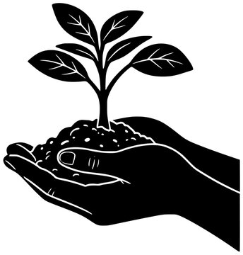 nature illustration sapling silhouette environment logo growth icon green outline plant ecology garden agriculture gardening seedling forest conservation leaf shape for vector graphic background