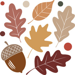 Autumn forest collection with various oak leaves and an acorn in flat style. © Mst Insanara Begum