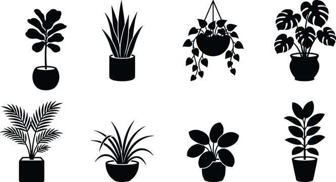 Houseplants black silhouette collection featuring potted monstera snake plant fiddle leaf fig palm and hanging ivy in image_2307eb.png