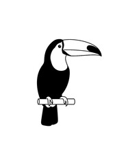 Obraz premium Simple black and white toucan perched on a branch