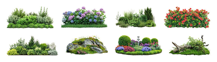 Fototapeta premium PNG Vibrant garden plant arrangements on transparent background