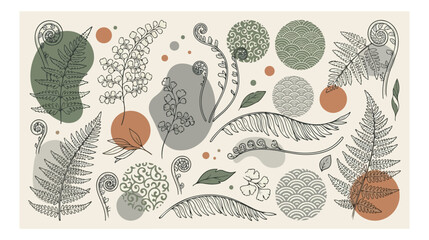 Botanical fern leaves vector collection, hand-drawn natural foliage elements, organic plant illustrations, earthy tones, abstract shapes, perfect for nature-inspired design projects. © Haseeb's Work