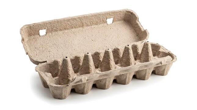 An open cardboard egg carton sits on a plain white surface indoors.