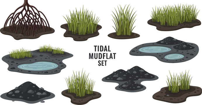 A set of isolated vector illustrations featuring marshland elements like mangrove roots puddles rock piles and patches of grass