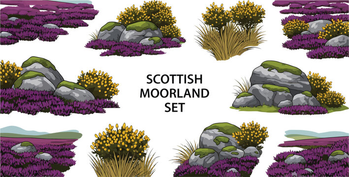 A digital illustration set of Scottish moorland elements featuring mossy boulders gorse bushes tufted grass and heather fields