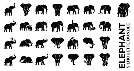 Obraz premium Set of African and Asian elephant silhouette icons in various poses and actions
