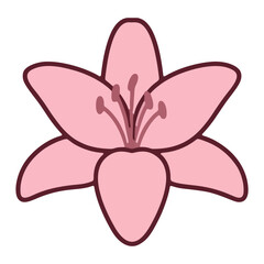 Naklejka premium Pink Lily Flower Blossom