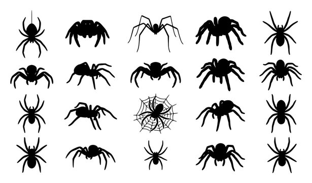 Flat hand drawn spider icons collection with various arachnid types isolated on white background for logos stickers Halloween and educational graphics