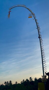 Vertical shot of traditional balinese penjor bamboo pole against blue sky in Bali
