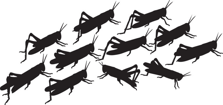 Black grasshopper silhouettes, insect icons, vector illustrations, bug graphics
