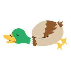Fototapeta premium Cute Mallard Duck Character. Vector Illustration in Cartoon Style.