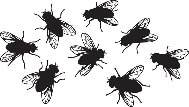 Black fly silhouettes, insect icons, bug illustrations, vector flies