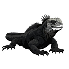 Fototapeta premium Black Marine Iguana Galapagos Reptile Flat Vector