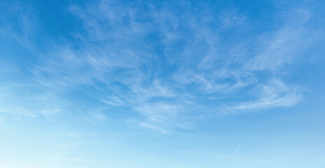 Obraz premium Clear blue sky with wispy, delicate clouds drifting gently
