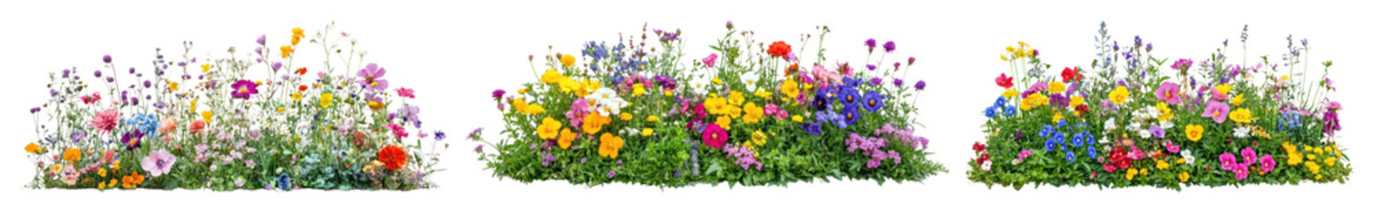 Fototapeta premium PNG Vibrant wildflower garden borders on transparent background
