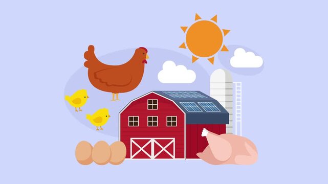 Sustainable Poultry Farm Concept with Hen Chicks Eggs and Solar Powered Red Barn cartoon animation