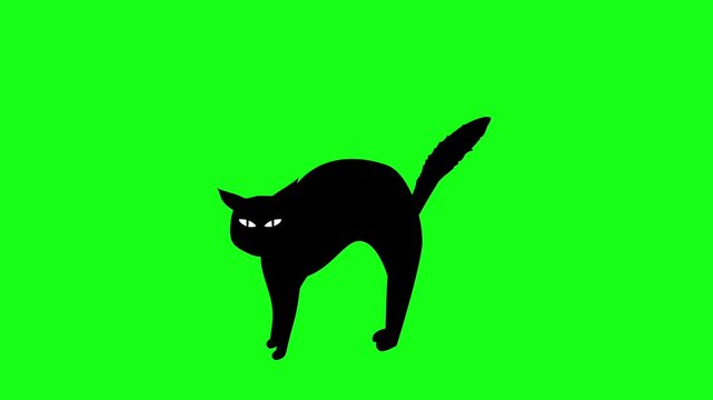 Siluet kucing hitam dengan posisi punggung melengkung khas Halloween dan mata menyala berlatar belakang green screen